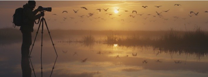 Wildlife photographer at sunrise