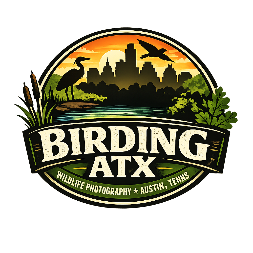 BirdingATX Logo